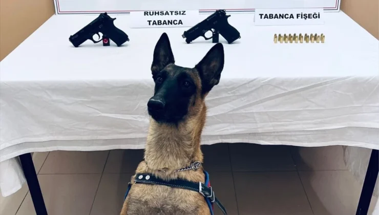 Çorum Alaca’da Jandarma Bomba Arama Köpeği İle Silah Ele Geçirildi