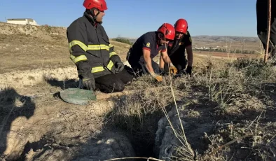 Çorum’da Mahsur Kalan Köpek Yavruları İtfaiye Ekiplerince Kurtarıldı