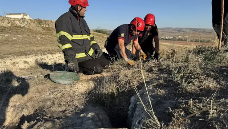 Çorum’da Mahsur Kalan Köpek Yavruları İtfaiye Ekiplerince Kurtarıldı